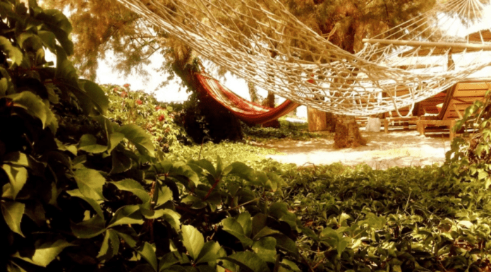 Καλώς ήρθατε και προσδεθείτε. Η διαδρομή σας θα είναι γεμάτη αναταράξεις