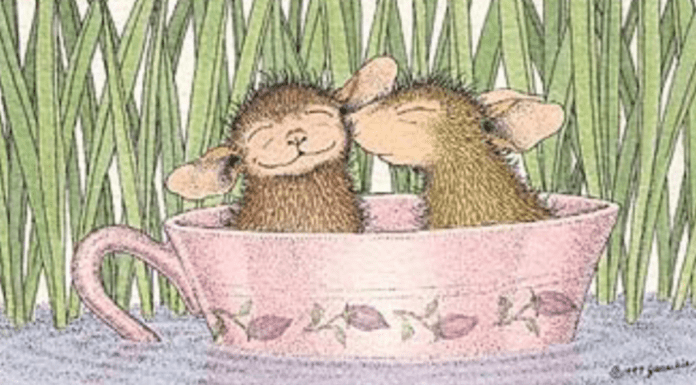 Δυο μεγάλοι ποντικοί