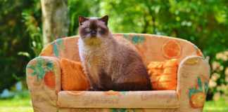 Ευτυχώς είναι Σεπτέμβρης