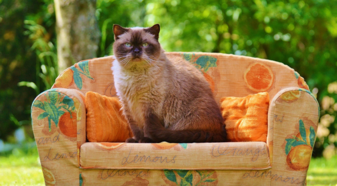 Ευτυχώς είναι Σεπτέμβρης