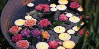 Η Απαρηγοριά