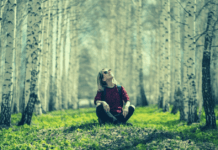 Περπατώ μες το δάσος όταν ο φόβος δεν είναι εδώ