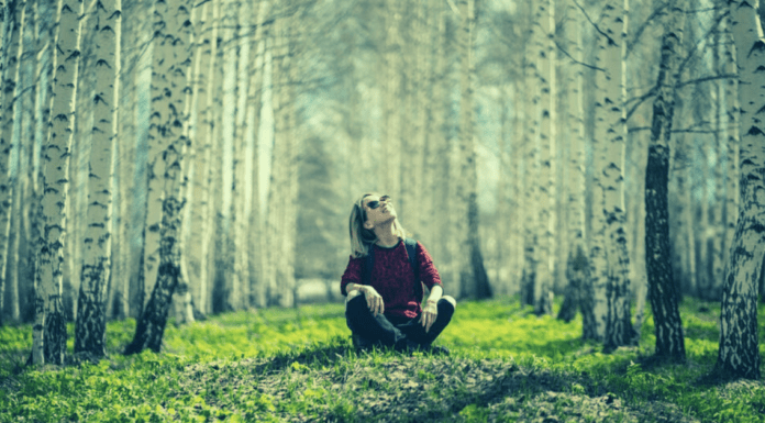 Περπατώ μες το δάσος όταν ο φόβος δεν είναι εδώ