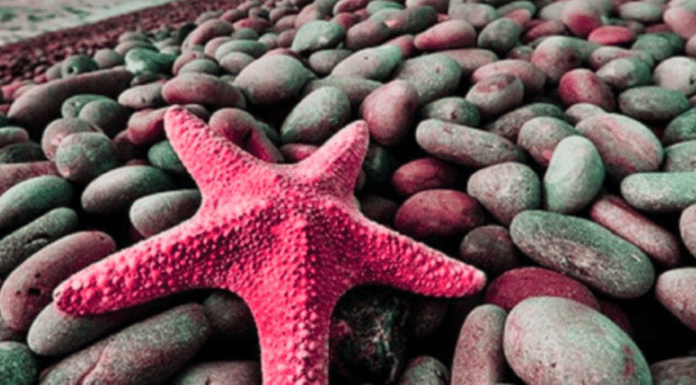 Όλοι μας θέλουμε να ζήσουμε μια ευτυχισμένη ζωή