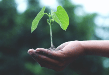 Όταν η πραγματικότητα αλλάζει τη ροή της ιστορίας