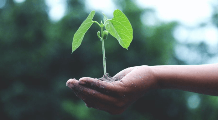 Όταν η πραγματικότητα αλλάζει τη ροή της ιστορίας