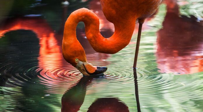 Τα ψέματα που λέμε βλάπτουν πρώτους και καλύτερους εμάς!