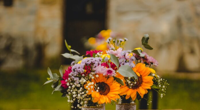 Είναι κάποιες όμορφες ημέρες