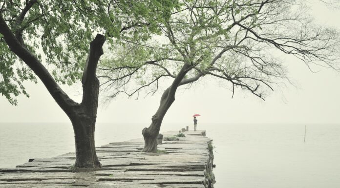 Φύγε και πέτα σαν πουλί